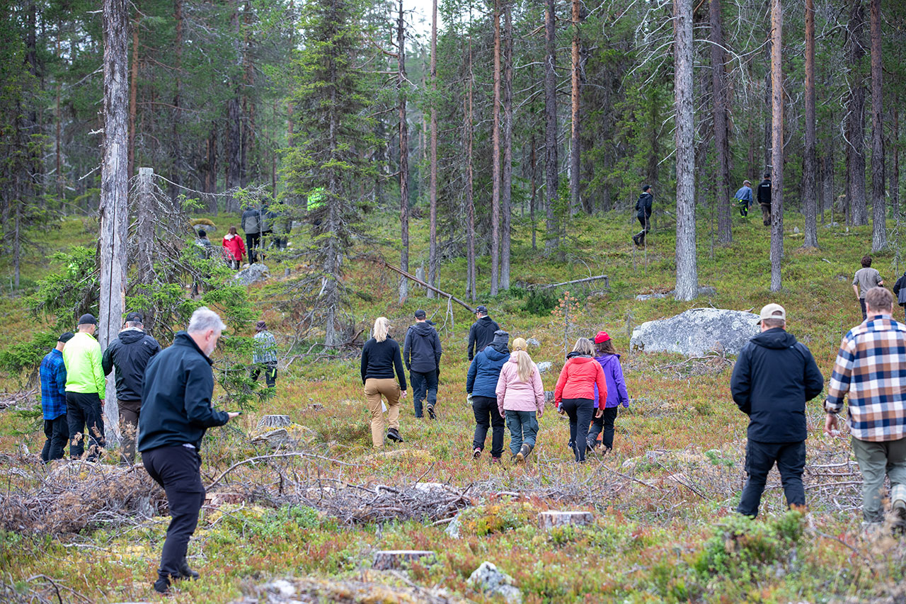 Gruppen går från en avverkad ruta till intilliggande skog