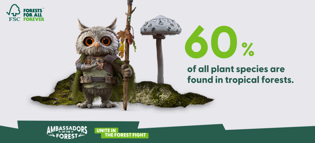 60% of vascular plant species thrive in tropical forests