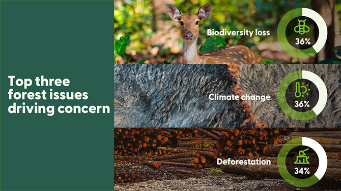 Tre viktiga skogsfrågor som konsumenter känner oro för.