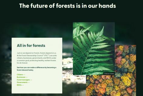 FSC International har publicerat ny webbplats