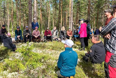 Skogsbruk och samebyar träffas i Åsele och Gällivare