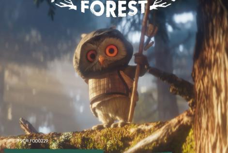 Ambassadors of the forest