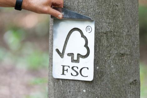 FSC Check Tree