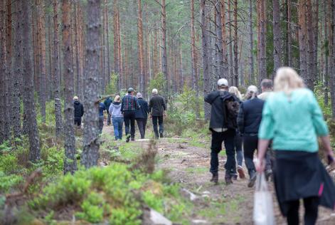 Skogsvandring