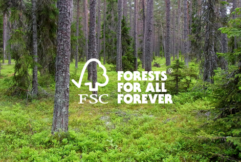 FSC:s logotyp med en skog i bakgrunden