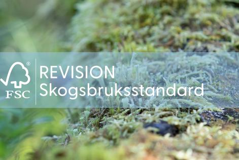 Standardrevision skog