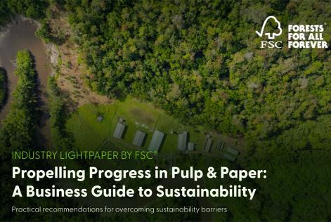 Paper and Pulp report