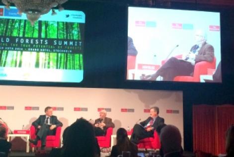 World Forests Summit