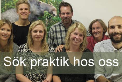 Praktisera hos oss!