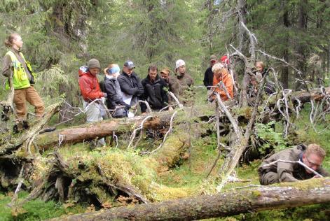 Skog och människor - Svenska FSC:s verksamehtsberättelse