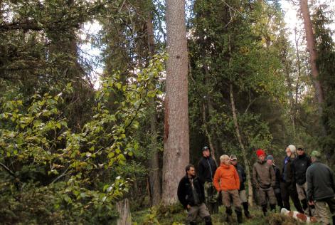 Rapport om klagomål