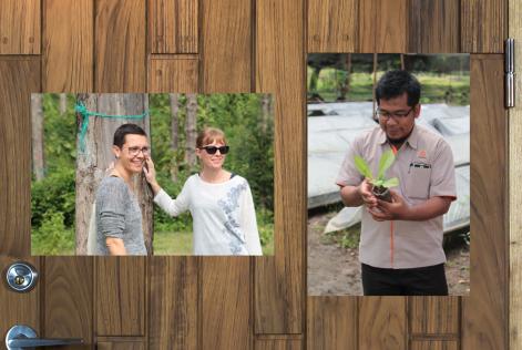 Bovalls - Systrarna Eva och Inger Gustafsson. Teakplanta färdig att planteras ut.