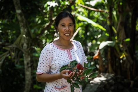 FSC - ett verktyg för att uppnå FN:s globala mål för hållbar utveckling