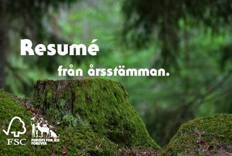 Resumé från årsstämman 2017