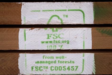 Gabon satsar på ansvarsfullt skogsbruk