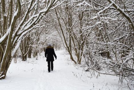 Samarbete för ansvarsfullt skogsbruk