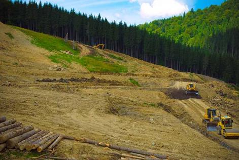 Illegala avverkningar