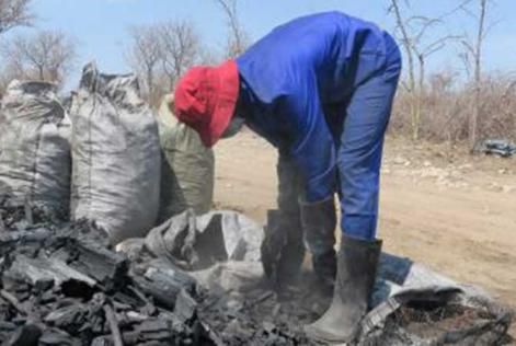 Kolproduktion i Namibia