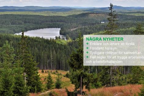 Ny standard för skogsbruk i Sverige