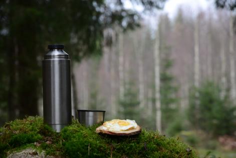 Virtuellt skogsmöte