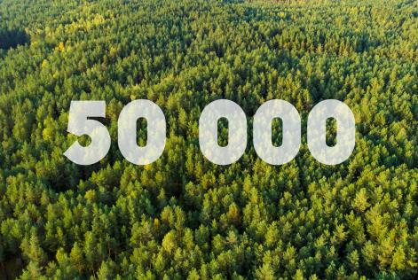 Stabil ökning inom FSC