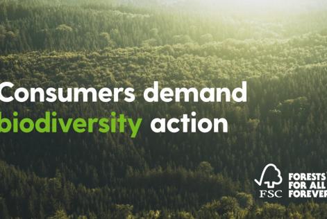 Global konsumentundersökning