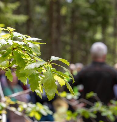 Människor som möts i skogen 