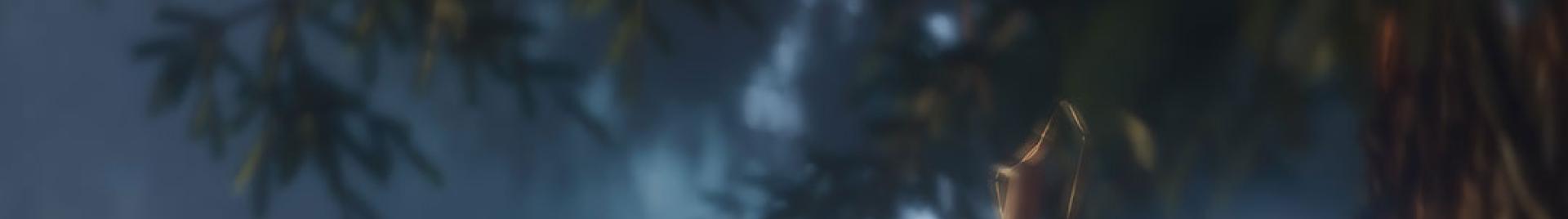 Ambassadors of the forest