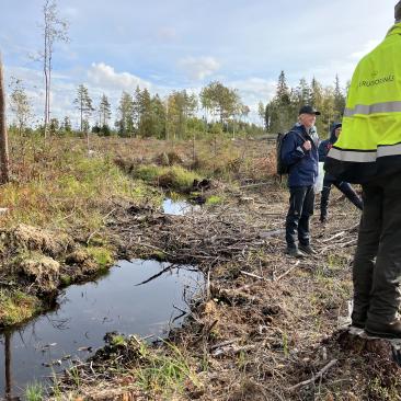 Övergång vattedrag